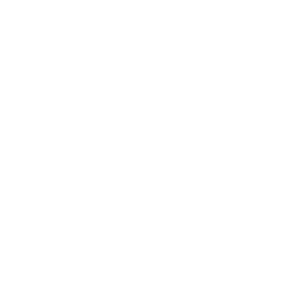 Ambulance icon