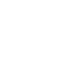 Meal icon