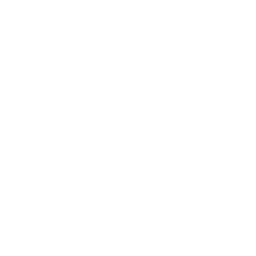 Telephone icon